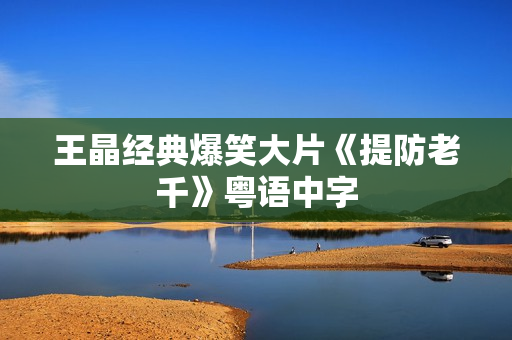 王晶经典爆笑大片《提防老千》粤语中字
