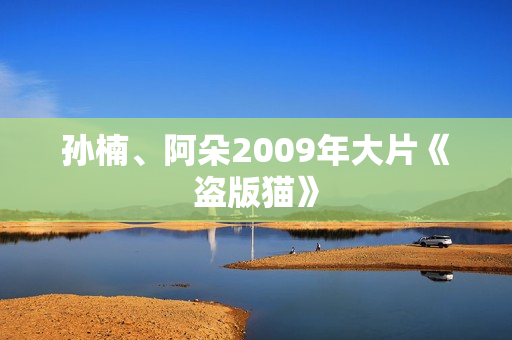 孙楠、阿朵2009年大片《盗版猫》