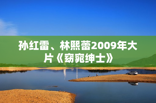孙红雷、林熙蕾2009年大片《窈窕绅士》