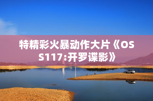 特精彩火暴动作大片《OSS117:开罗谍影》