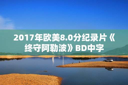 2017年欧美8.0分纪录片《终守阿勒波》BD中字