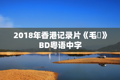 2018年香港记录片《毛俠》BD粤语中字