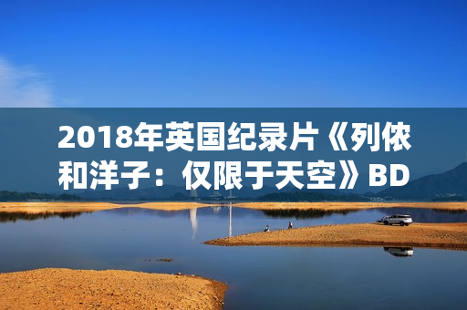 2018年英国纪录片《列侬和洋子：仅限于天空》BD中英双字