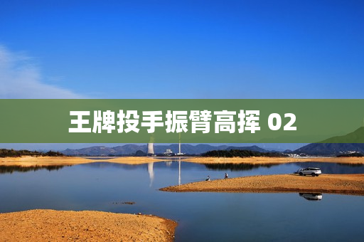 王牌投手振臂高挥 02
