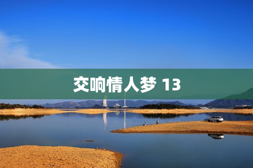 交响情人梦 13