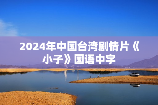 2024年中国台湾剧情片《小子》国语中字
