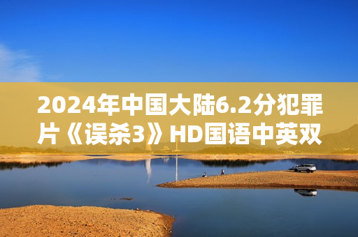 2024年中国大陆6.2分犯罪片《误杀3》HD国语中英双字