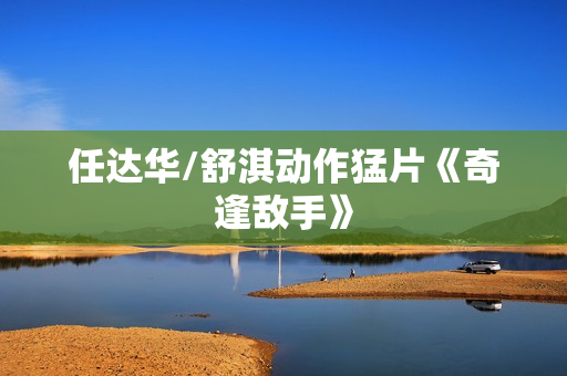 任达华/舒淇动作猛片《奇逢敌手》