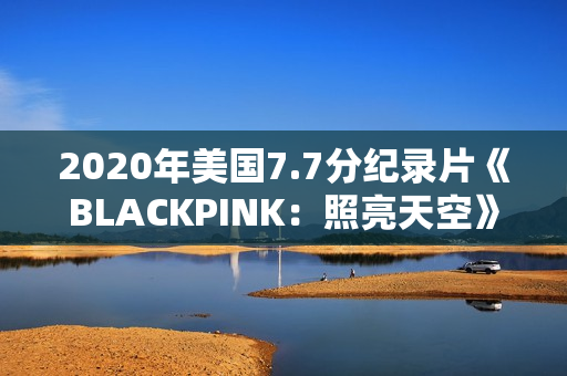 2020年美国7.7分纪录片《BLACKPINK：照亮天空》HD韩语中字
