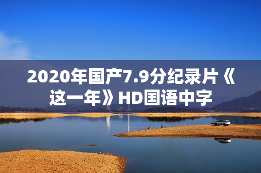 2020年国产7.9分纪录片《这一年》HD国语中字