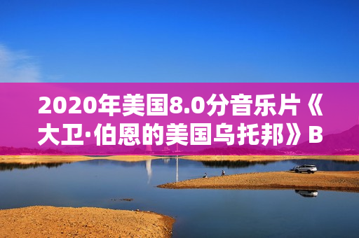 2020年美国8.0分音乐片《大卫·伯恩的美国乌托邦》BD中英双字