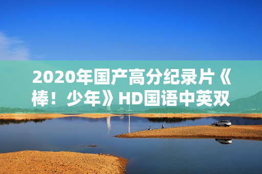 2020年国产高分纪录片《棒！少年》HD国语中英双字