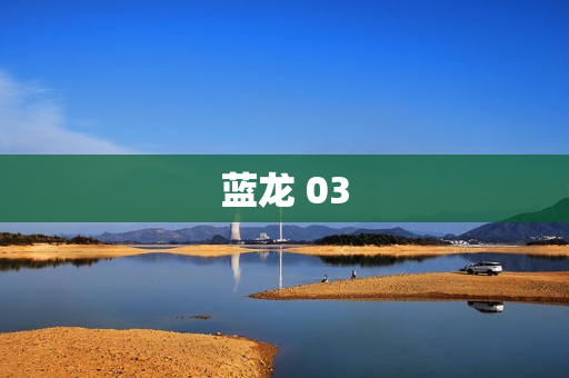 蓝龙 03