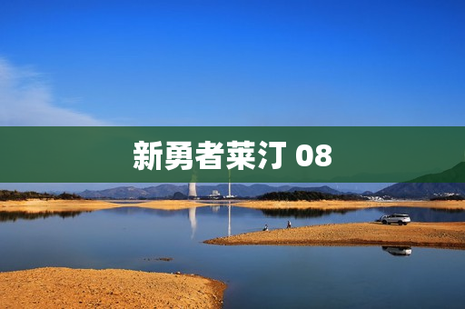 新勇者莱汀 08