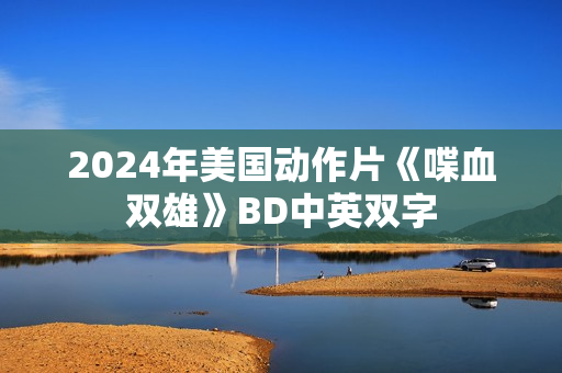 2024年美国动作片《喋血双雄》BD中英双字