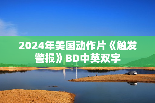 2024年美国动作片《触发警报》BD中英双字