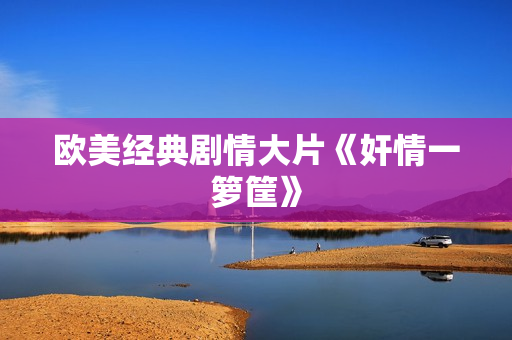 欧美经典剧情大片《奸情一箩筐》