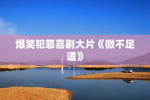 爆笑犯罪喜剧大片《微不足道》
