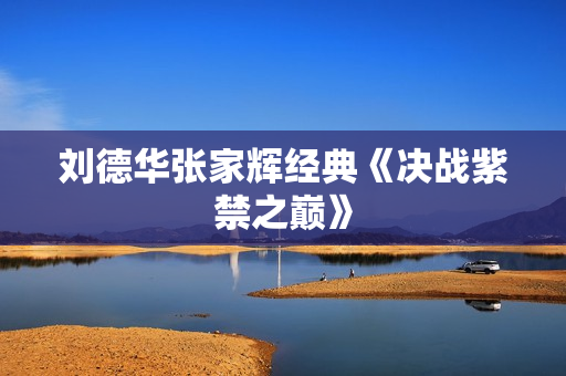 刘德华张家辉经典《决战紫禁之巅》