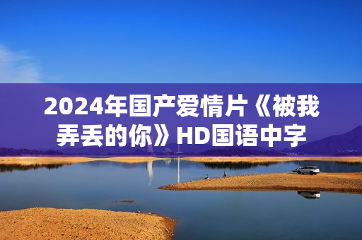 2024年国产爱情片《被我弄丢的你》HD国语中字
