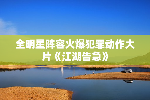 全明星阵容火爆犯罪动作大片《江湖告急》