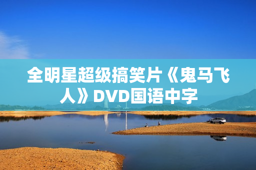 全明星超级搞笑片《鬼马飞人》DVD国语中字