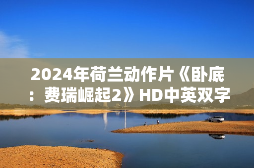 2024年荷兰动作片《卧底：费瑞崛起2》HD中英双字
