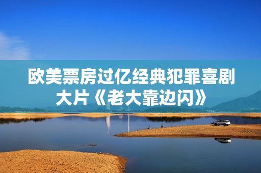 欧美票房过亿经典犯罪喜剧大片《老大靠边闪》