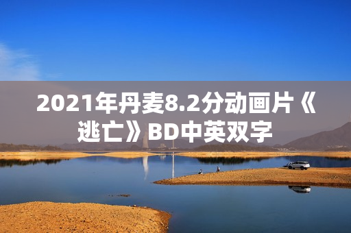 2021年丹麦8.2分动画片《逃亡》BD中英双字