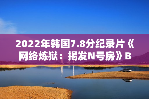 2022年韩国7.8分纪录片《网络炼狱：揭发N号房》BD韩语中字