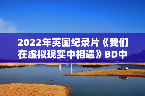 2022年英国纪录片《我们在虚拟现实中相遇》BD中英双字