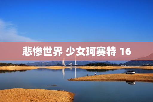 悲惨世界 少女珂赛特 16