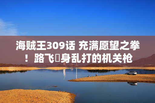 海贼王309话 充满愿望之拳！路飞渾身乱打的机关枪