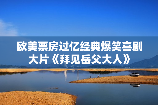 欧美票房过亿经典爆笑喜剧大片《拜见岳父大人》