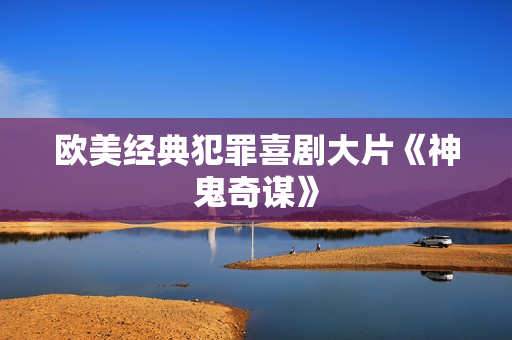 欧美经典犯罪喜剧大片《神鬼奇谋》