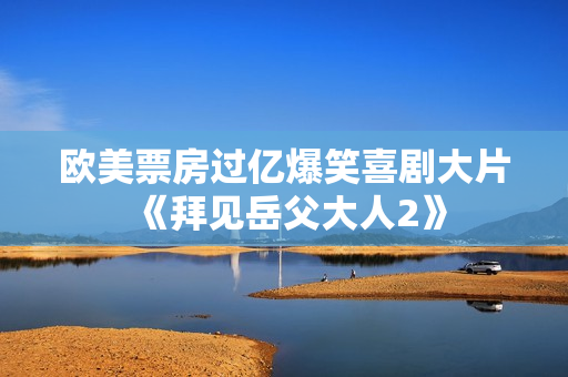 欧美票房过亿爆笑喜剧大片《拜见岳父大人2》