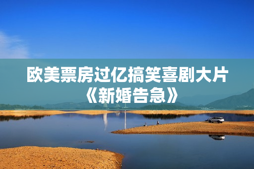 欧美票房过亿搞笑喜剧大片《新婚告急》
