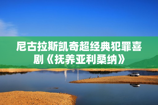 尼古拉斯凯奇超经典犯罪喜剧《抚养亚利桑纳》