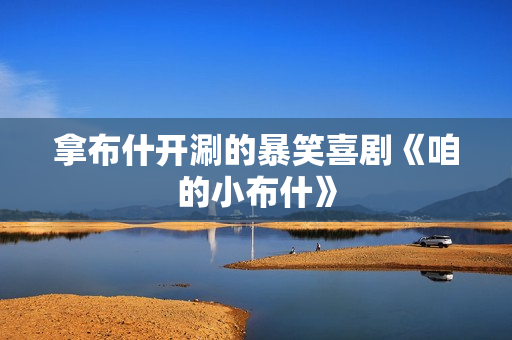 拿布什开涮的暴笑喜剧《咱的小布什》