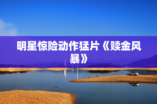 明星惊险动作猛片《赎金风暴》