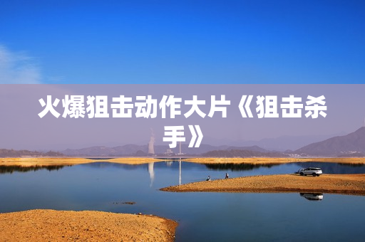 火爆狙击动作大片《狙击杀手》