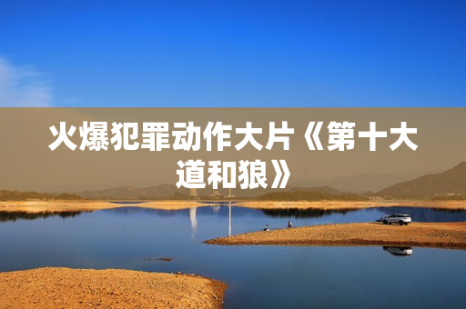 火爆犯罪动作大片《第十大道和狼》