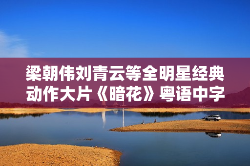 梁朝伟刘青云等全明星经典动作大片《暗花》粤语中字