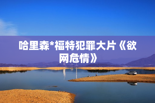 哈里森*福特犯罪大片《欲网危情》