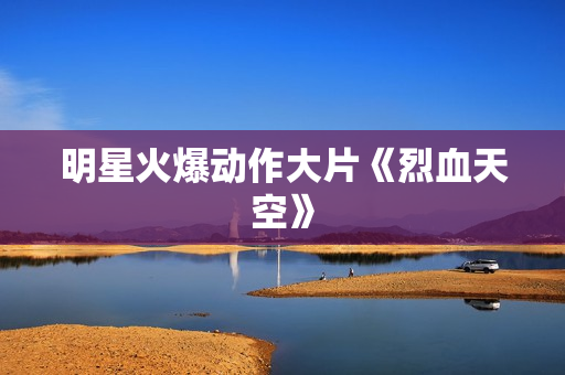 明星火爆动作大片《烈血天空》
