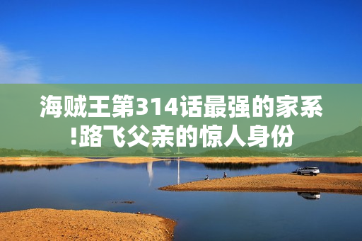 海贼王第314话最强的家系!路飞父亲的惊人身份