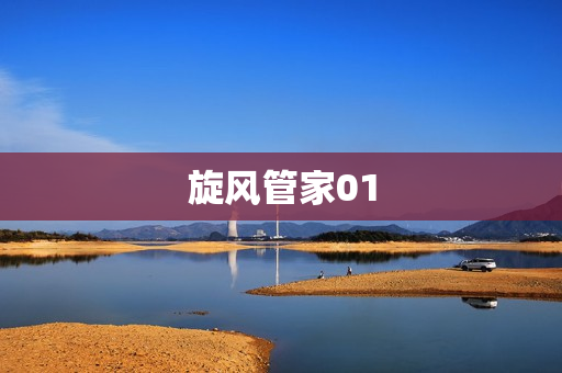 旋风管家01