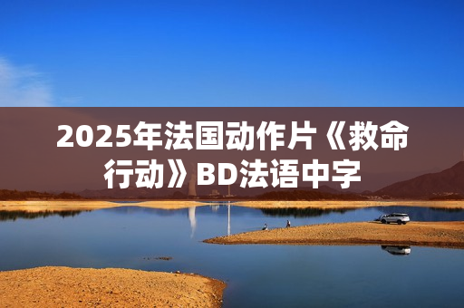 2025年法国动作片《救命行动》BD法语中字