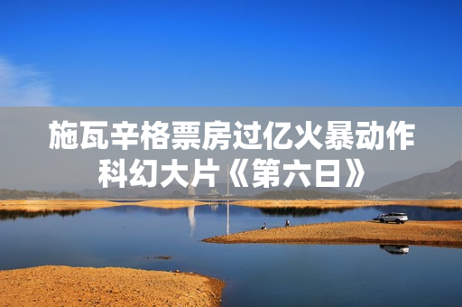施瓦辛格票房过亿火暴动作科幻大片《第六日》