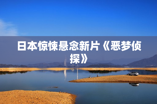 日本惊悚悬念新片《恶梦侦探》